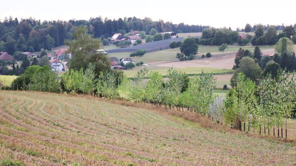 Gerbehof_2.Baustelle_200.jpg