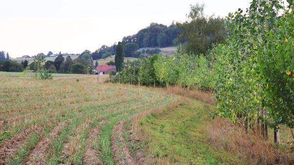 Gerbehof_2.Baustelle_216.jpg
