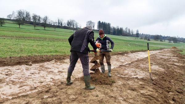 Gerbehof_Progress_18.jpg